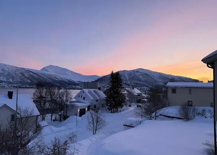 Arctic View - Calm And Daire *